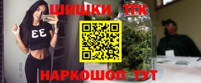 стаф Пенза
