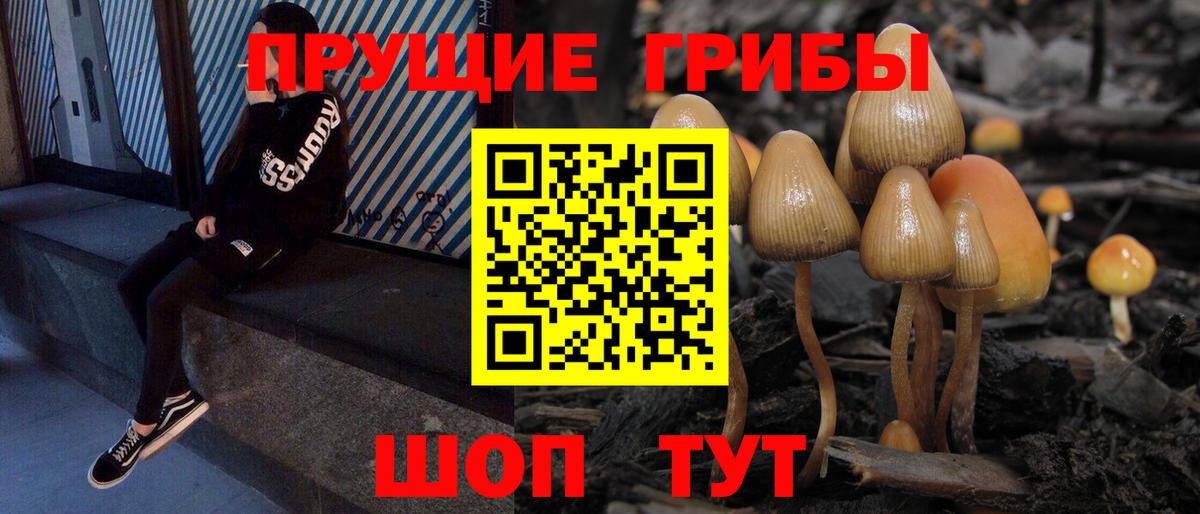 Сочи  хочу   Вход с VPN  Галлюциногенные грибы ЛСД  Галлюциногенные грибы ЛСД 